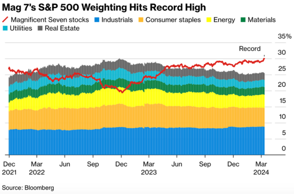 Mag 7's s p 500 weighting hits record high