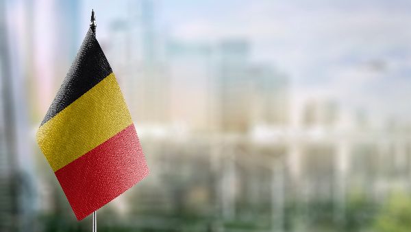 Homebias beleggen
