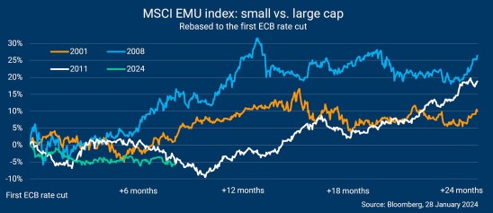 Msci emu index small vs large cap