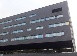 Eli lily utrecht analist